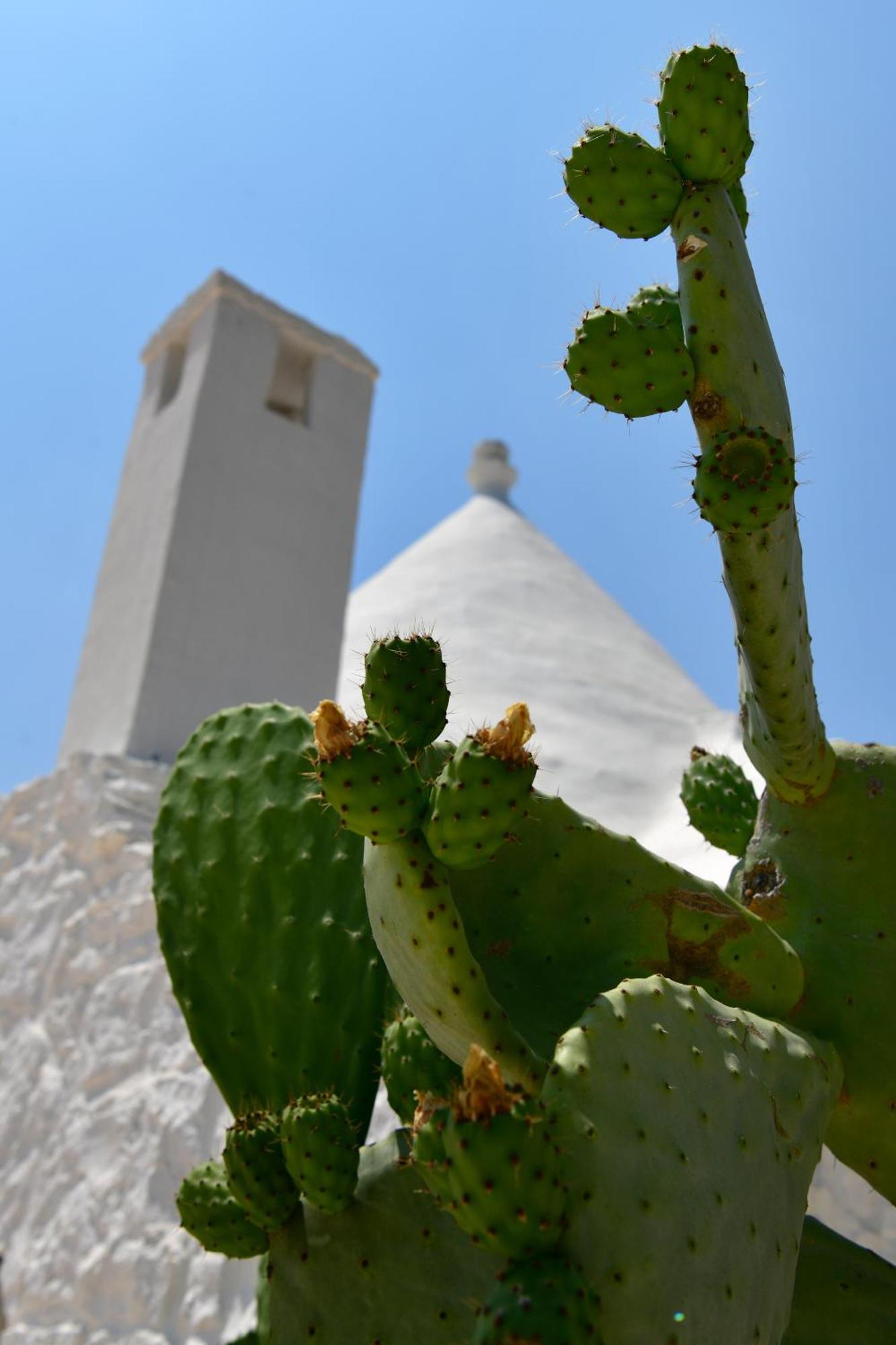 Il Trullo Bianco - Country House & Spa Кастеллана-Гротте Екстер'єр фото